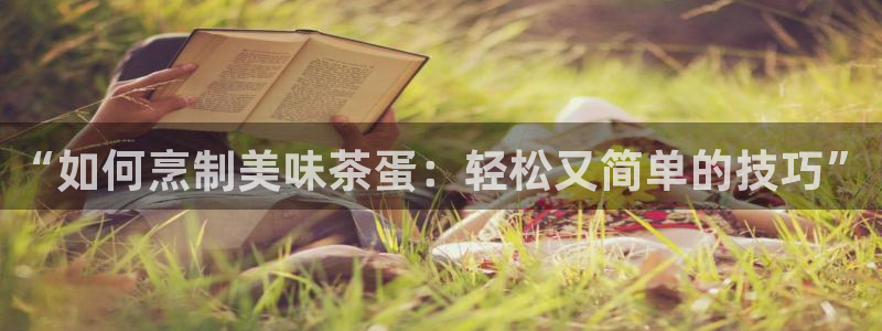 龙八国际是什么