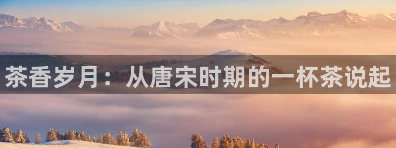 菲律宾的龙八国际输钱