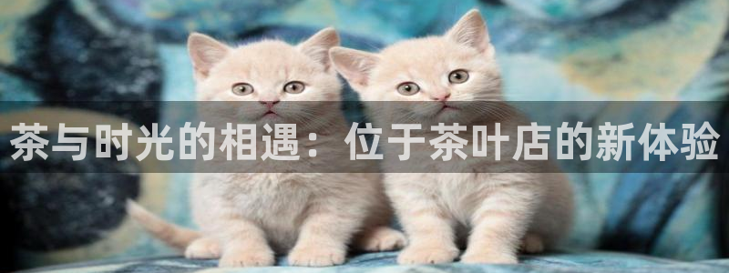 龙八国际手机版官网平台