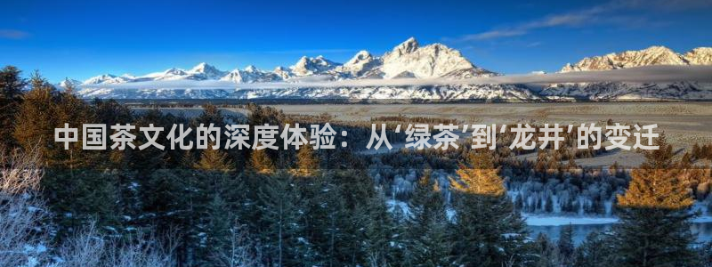 龙八国际app下载手机客户端