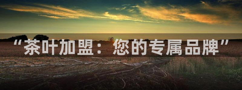 龙八国际害死多少人