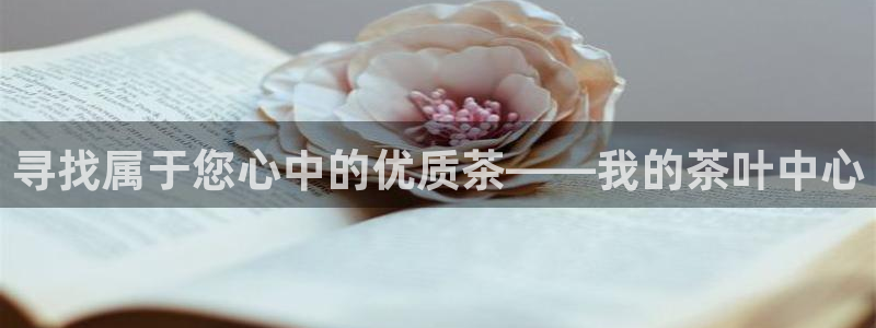 龙八国际手机客户端