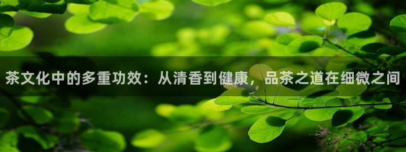 龙八国际app下载苹果