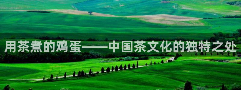 龙八国际在线登录