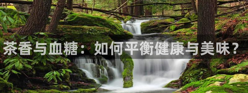 龙八国际手机app