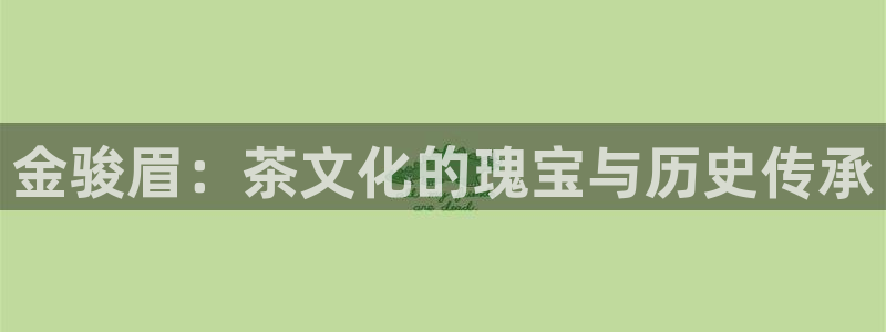 龙八国际备用地址