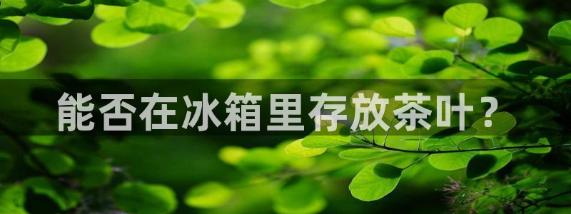 龙八国际官方旗舰店
