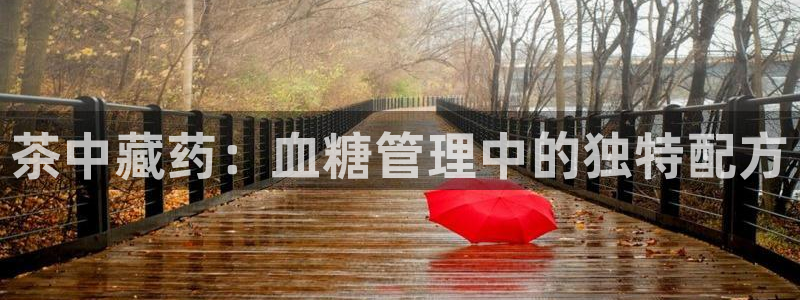 龙八国际网页登陆