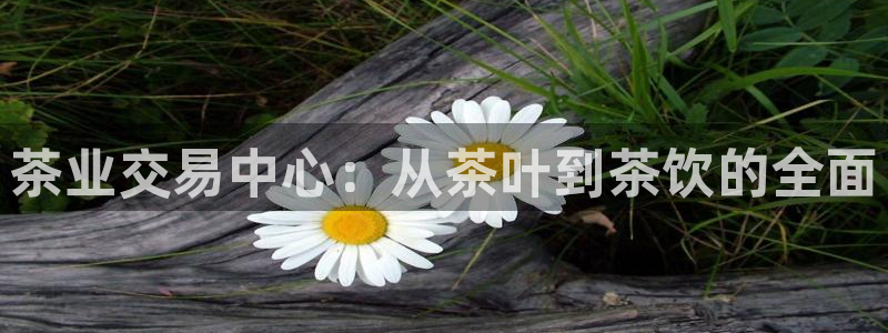 龙八国际娱乐在线游戏