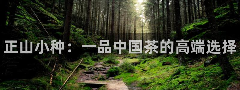 龙八国际官网app