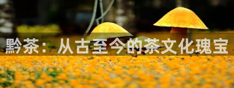 龙八国际下载地址