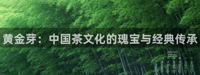 龙八国际软件下载