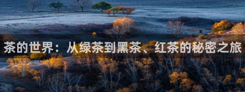 龙八国际app手机端