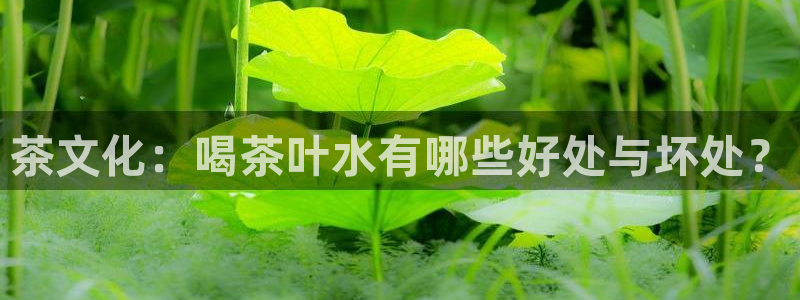 龙八国际手机登录