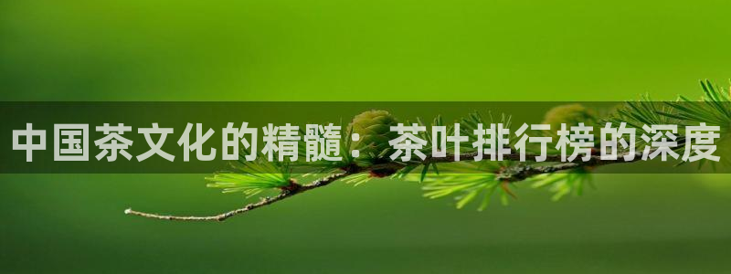 龙八国际优惠券