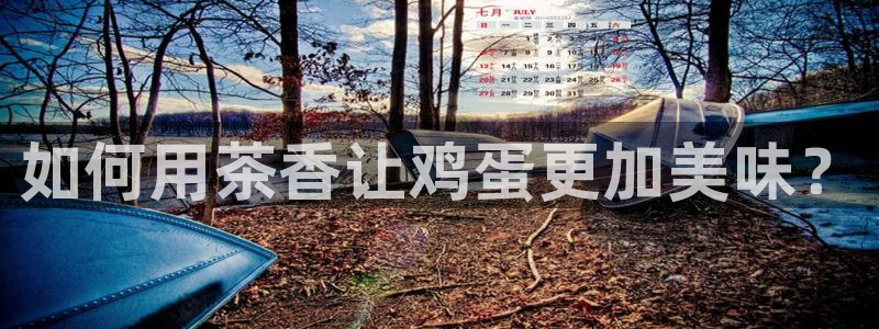 龙八国际下载地址