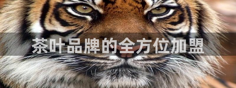 龙八国际网页版本