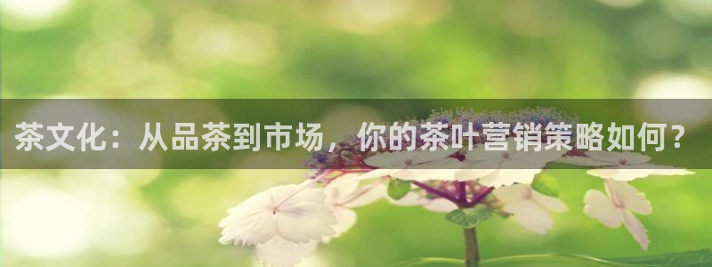 龙八国际能赢钱吗