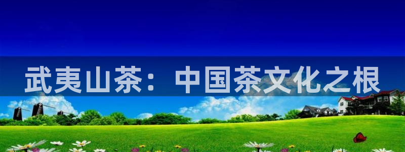 龙八国际官网手游