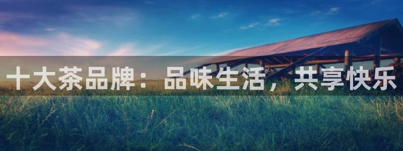 龙八国际怎么注册app