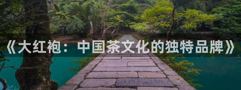 龙八国际软件下载