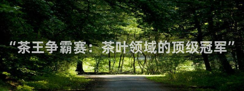 龙八国际手机客户端下载app