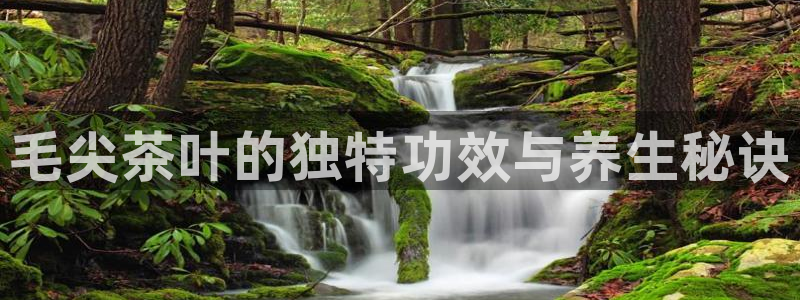 下载龙八国际手机版游戏