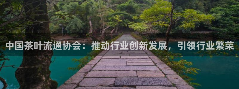 菲律宾龙八国际杀猪