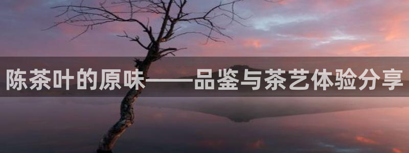 龙八国际官网客户服务
