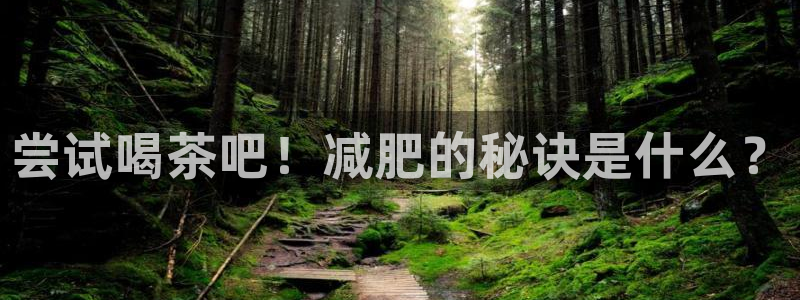 龙八国际怎么注册下载