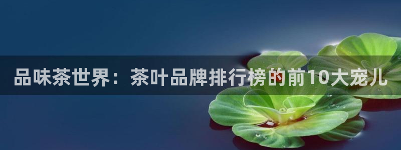 龙八国际最新官网