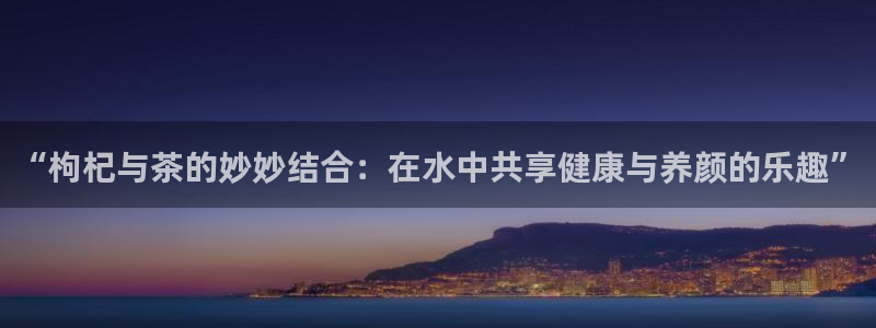 龙八国际客户端下载安装
