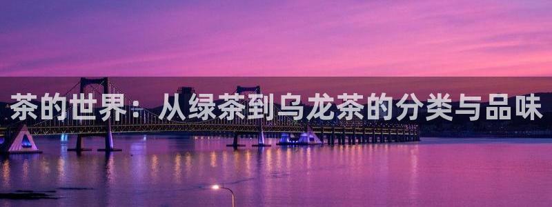 龙八国际平台yb48点top