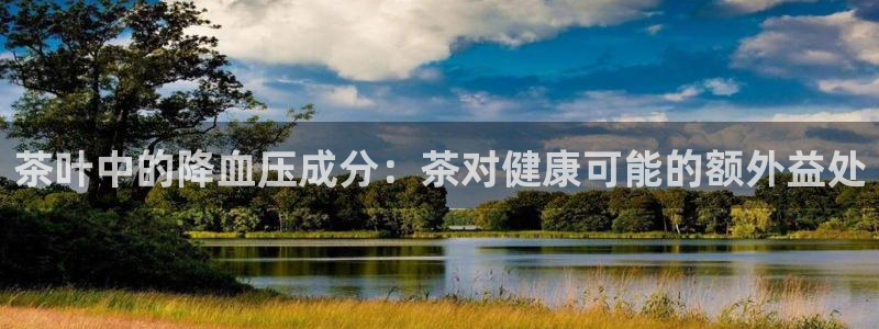 龙八国际输死人