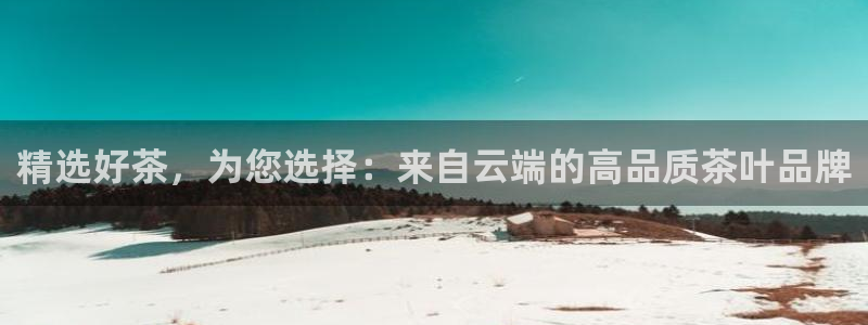 龙八国际官方手游