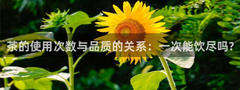 龙八国际客户端下载平台