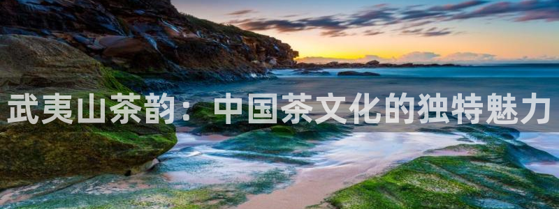 龙八国际app是什么