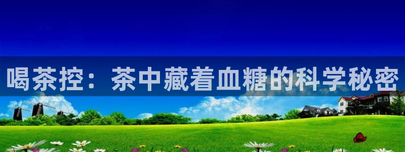 龙八国际网站全网