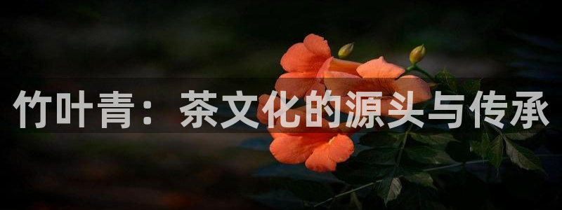 龙八国际娱乐会所