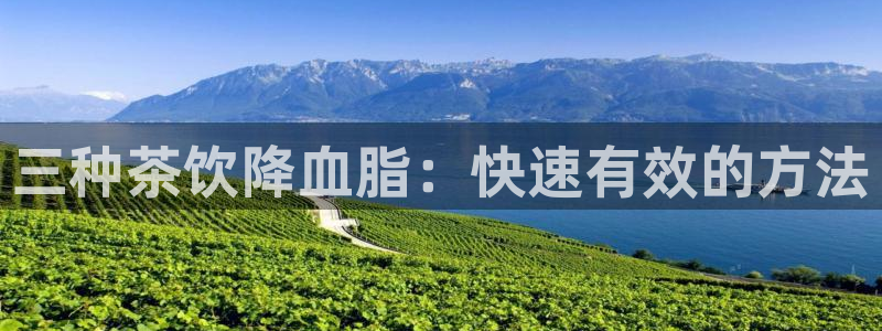 龙八国际客户端官网下载