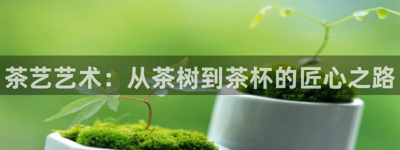 手机版龙八国际官网