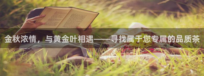 龙八国际娱乐官方网址