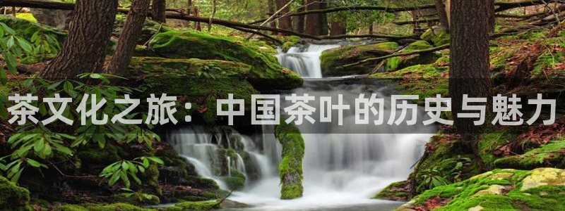 龙八国际苹果下载地址