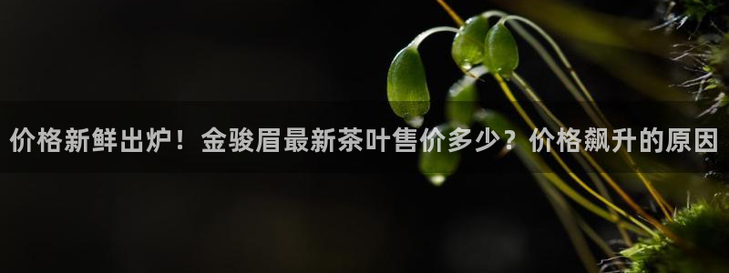 龙八国际app下载官网