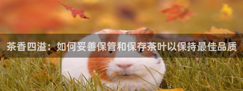 龙八国际客户端下载平台