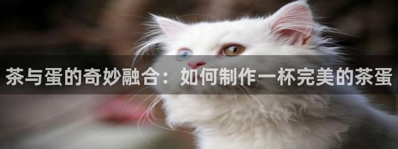 龙八国际Pt老虎机