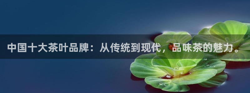 龙八国际网址是什么