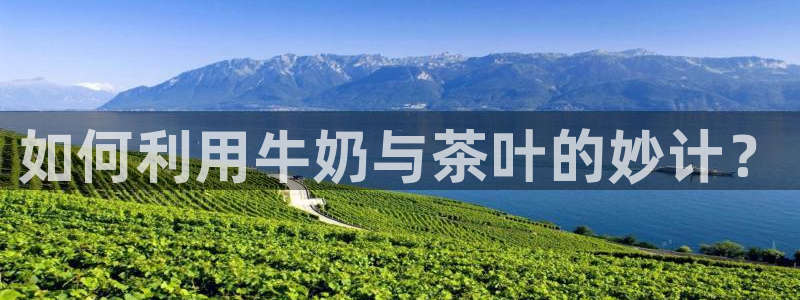 龙八国际怎么注册手机端