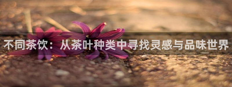 龙八国际优惠券有什么用