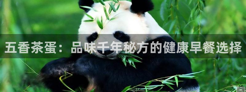 龙八国际娱乐官网